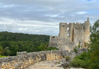 Château d'Angles-sur-l'Anglin