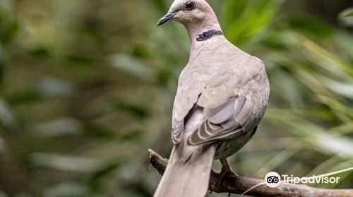 Umgeni River Bird Park