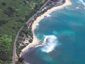 Blue Hawaiian Helicopters