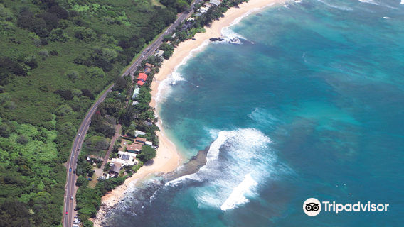 Blue Hawaiian Helicopters