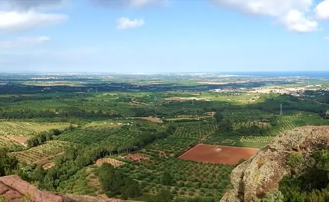 Mont-roig del Camp