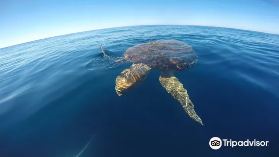 Wolf Rock Dive Centre