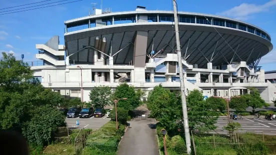 坊っちゃんスタジアム（松山中央公園野球場）