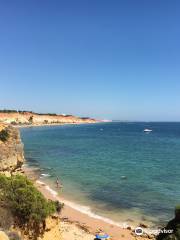 Playa de Falesia