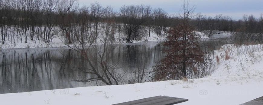 Mined Land Wildlife Area #12