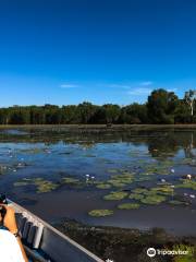 Wildlands Wetlands Safari Cruises