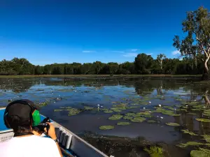 Wildlands Wetlands Safari Cruises