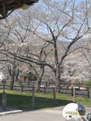 Sakurabuchi Park