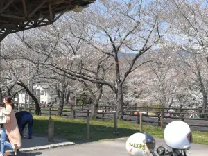 Sakurabuchi Park