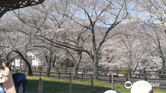 Sakurabuchi Park