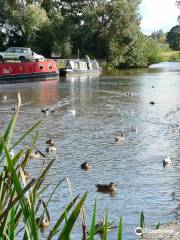 Winsford Marina