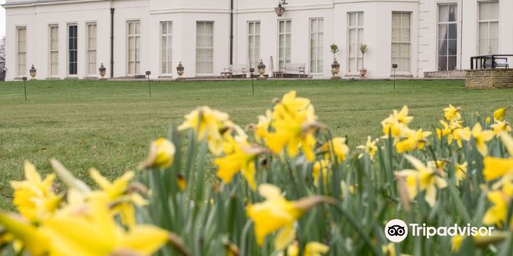 Hylands Park