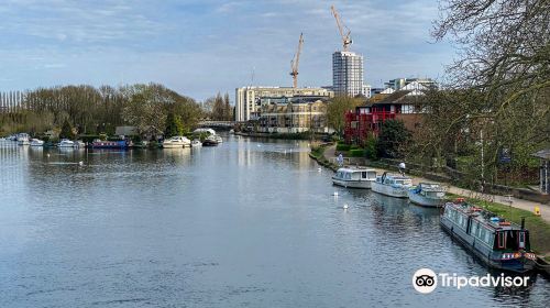 Caversham Court