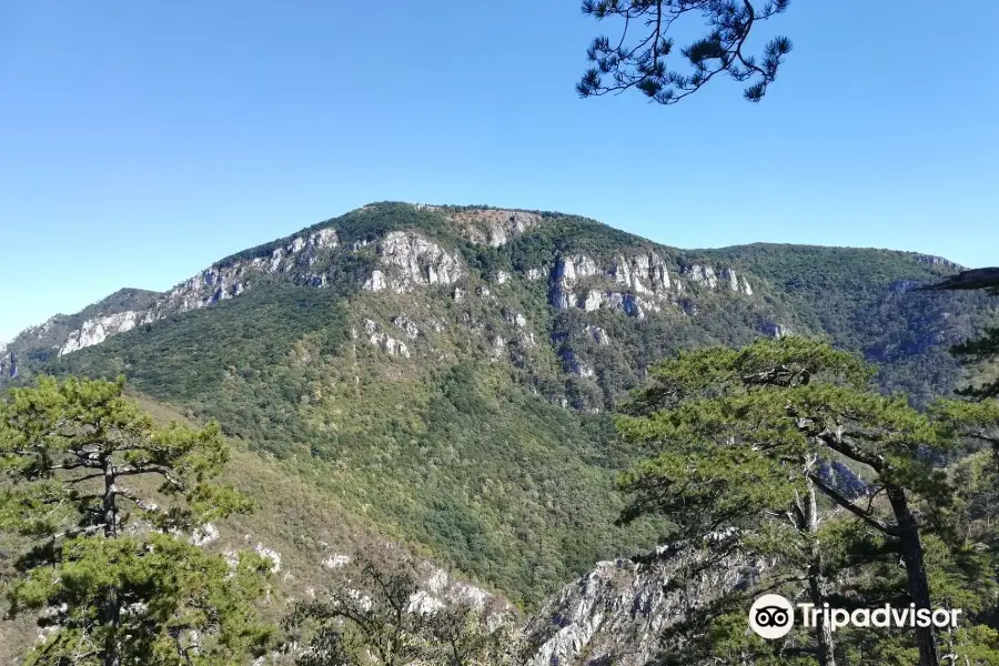 Nationalpark Domogled-Valea Cernei