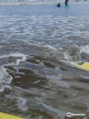 Lahinch Surf Centre - Day Course