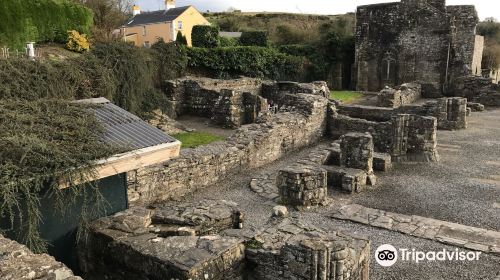 Mellifont Abbey