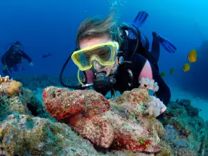 Centre de Plongée Île Maurice - Dive Passion Mauritius