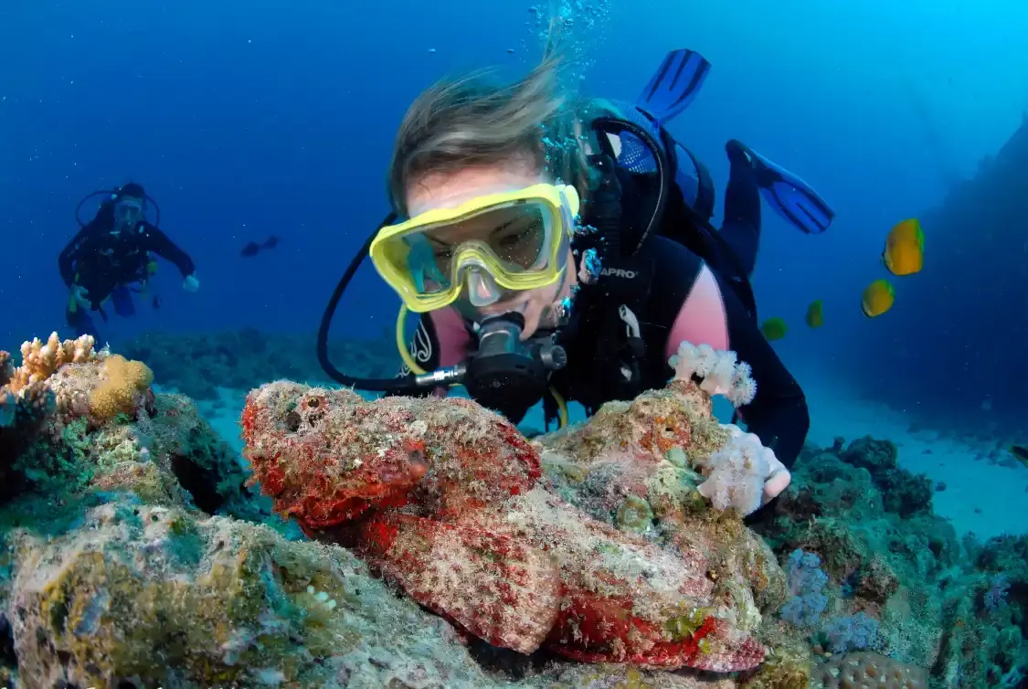 Hotels near Dive Passion Mauritius