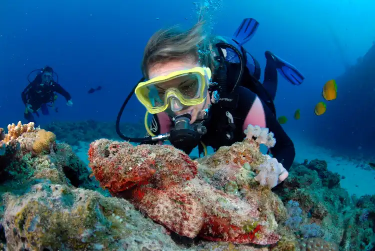 Hotels near Dive Passion Mauritius