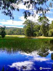 Mummel Gulf National Park