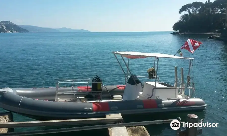 Diving Group Portofino