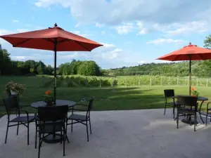 Venditti Vineyards