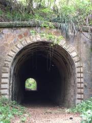 Tunel de Guaniquilla