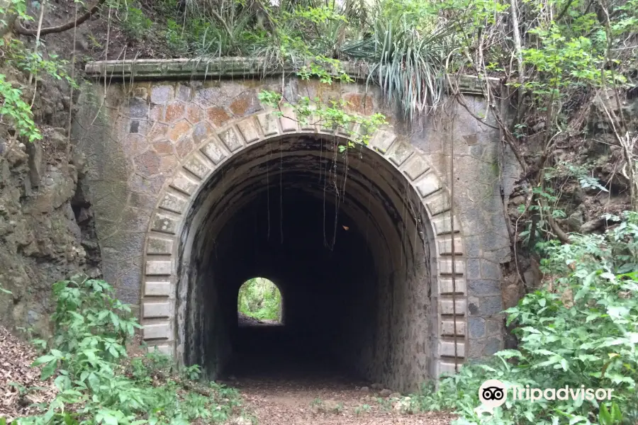 Tunel de Guaniquilla