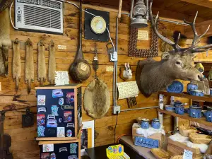 Tom's Historic Logging Camp