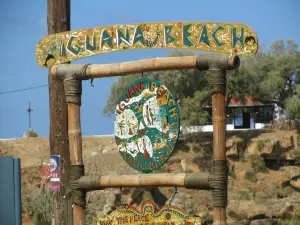 Iguana-Strand