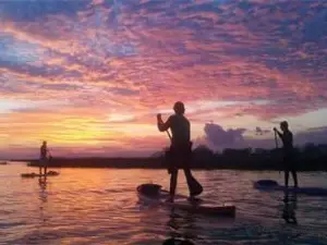 Nature Adventures on Shem Creek