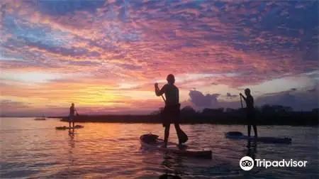 Nature Adventures on Shem Creek