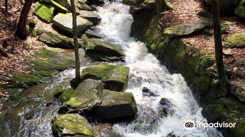 Chesterfield Gorge State Park