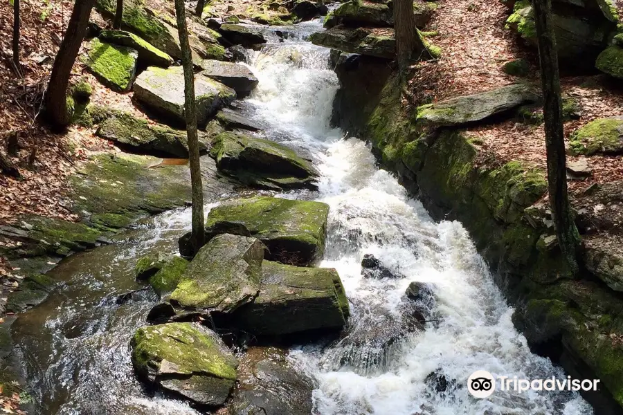 Chesterfield Gorge State Park