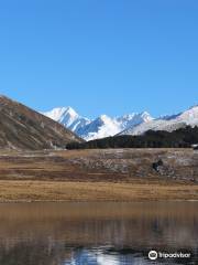 Lake Tennyson Campsite