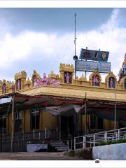 Shree Venkateshwara Swamy temple, Dakshina Tirupati