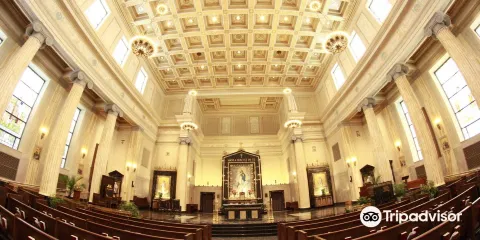 Cathedral of the Immaculate Conception