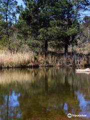 Wooldridge Recreation and Fossicking Area