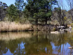 Wooldridge Recreation and Fossicking Area