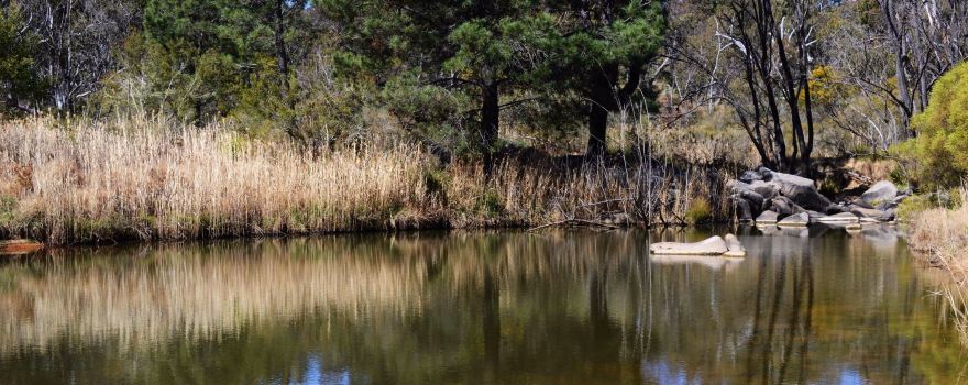 Wooldridge Recreation and Fossicking Area