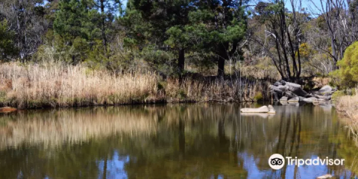 Wooldridge Receation and Fossicking Area