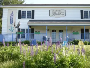 Lupine Cottage