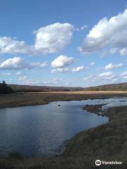 Meadow Grounds Lake