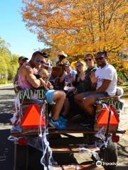 Merry-Go-Round Carriage Rides, LLC