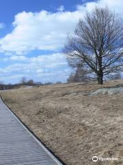 Himmelstalund rock carvings