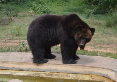 ライキピア・カウンティー