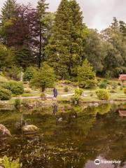 The Japanese Garden