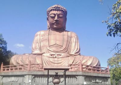 Great Buddha of Shuurakuen