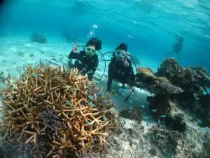 Oceans