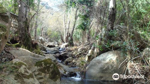 Sendero La Garganta del Capitan